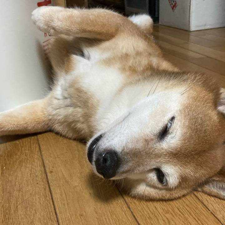 D22ffd7a 9b8f 4cdb a22d 3960f258bc16 1659011218095