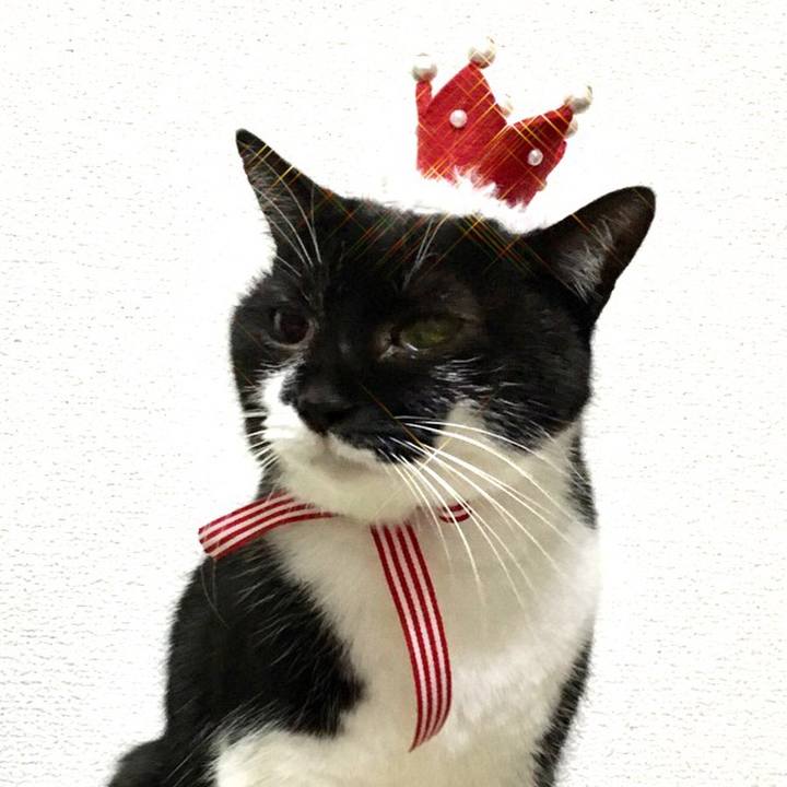 D2302843 9346 42a9 ab5d bca76e86da19 1548341480313