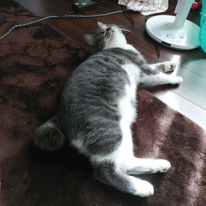 D23055bb 35ef 441b a84a ef24b4102522 1579420596214