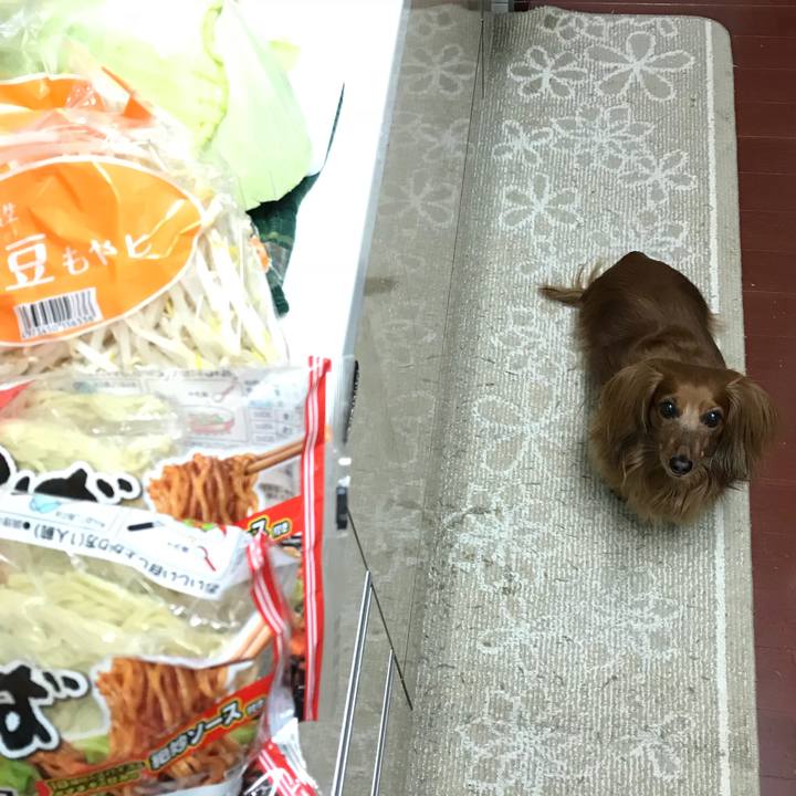 D2309a60 94d7 4c86 9291 c10c0696f5ee 1522922020389