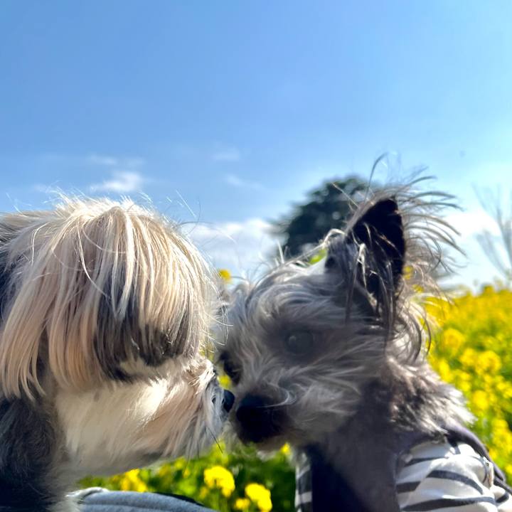 D230a651 5c93 4fc8 ba4f b6364fba018a 1774088038375