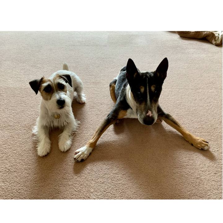 D230c10d ed81 4b46 a116 1718f4bc4eaf 1624362535030