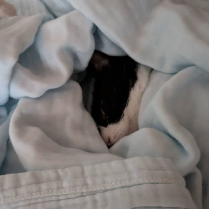 D230dd4a d21b 41b5 8a01 86cbc69b4480 1750662215424