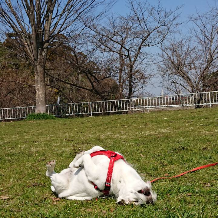 D230f7b7 375c 4ccf 857a 55fb5a346ba9 1553123594952