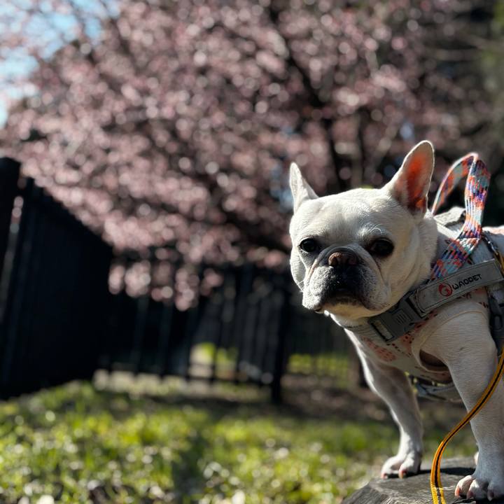 D2310a5e 2e01 4e62 9565 ce83a998cf8a 1773356602291