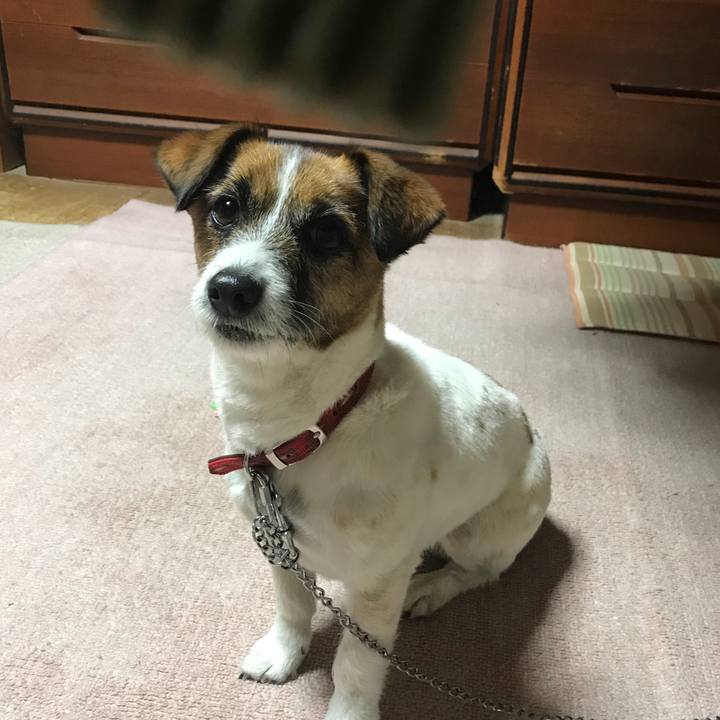 D23151c5 a7fc 49ae 9ca3 3b820d749983 1522316739102