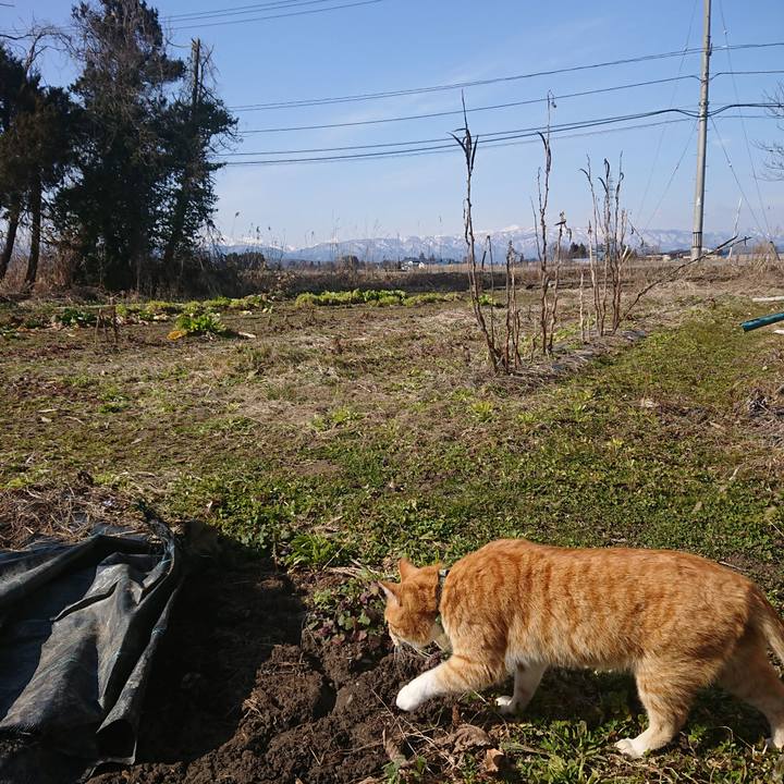 D2315ebd 176f 4a35 8cd0 185e90eb324d 1583563364150