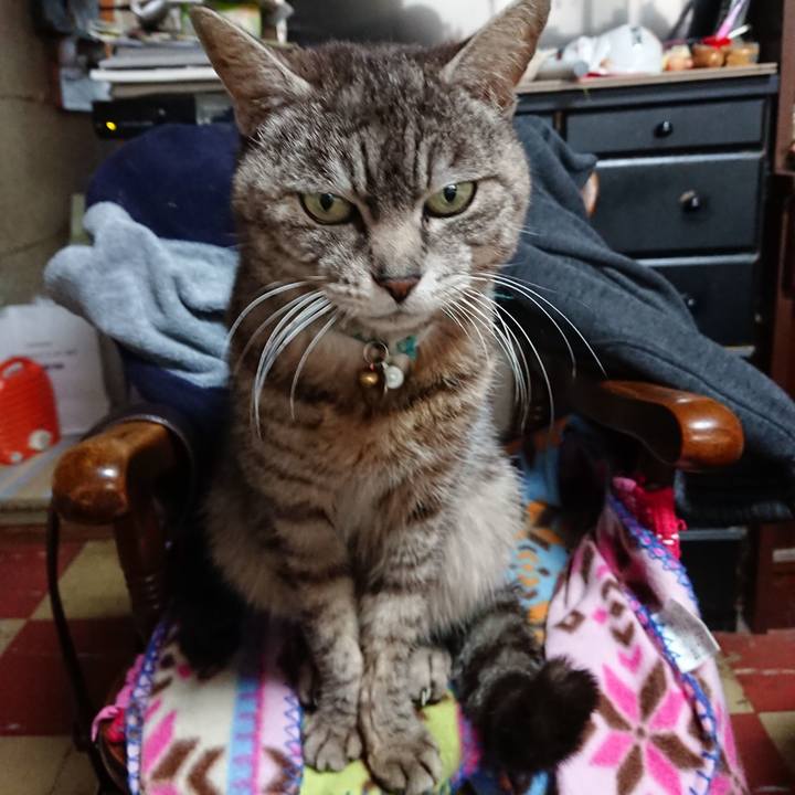 D231dbf7 9cab 477e 9d90 d18af6880541 1557479897502