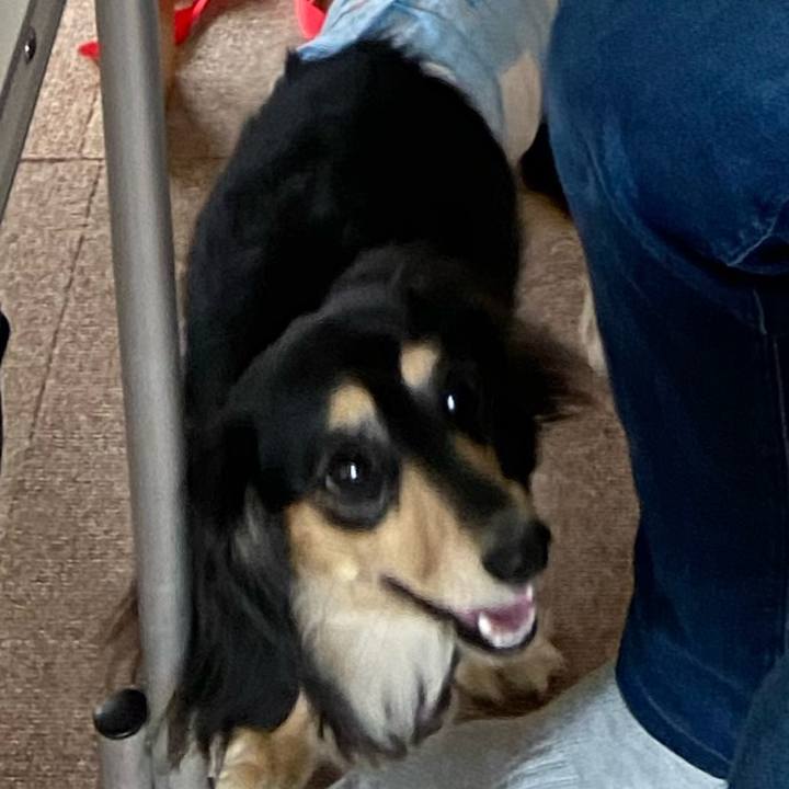 D23208af d730 43c5 84a7 32118f5ee3ef 1713738879390