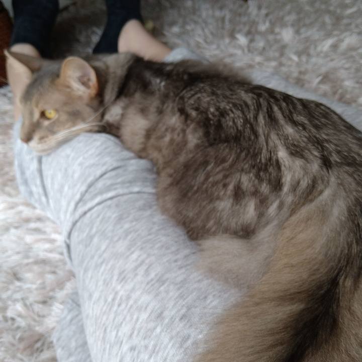 D232257c b782 4b52 a33e 3c7fcaf6e3a9 1618027433425