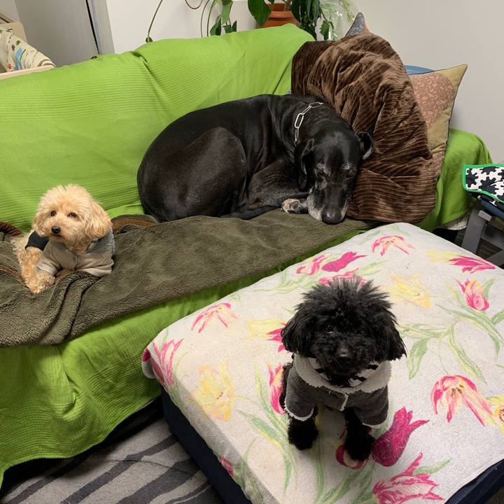 D2322b10 af80 47fb 98f1 1e826728252c 1551393486679