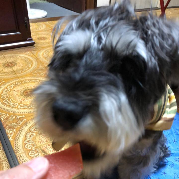 D2323d7e ffa7 47ec 8b0c 74522c20cd90 1658747941701