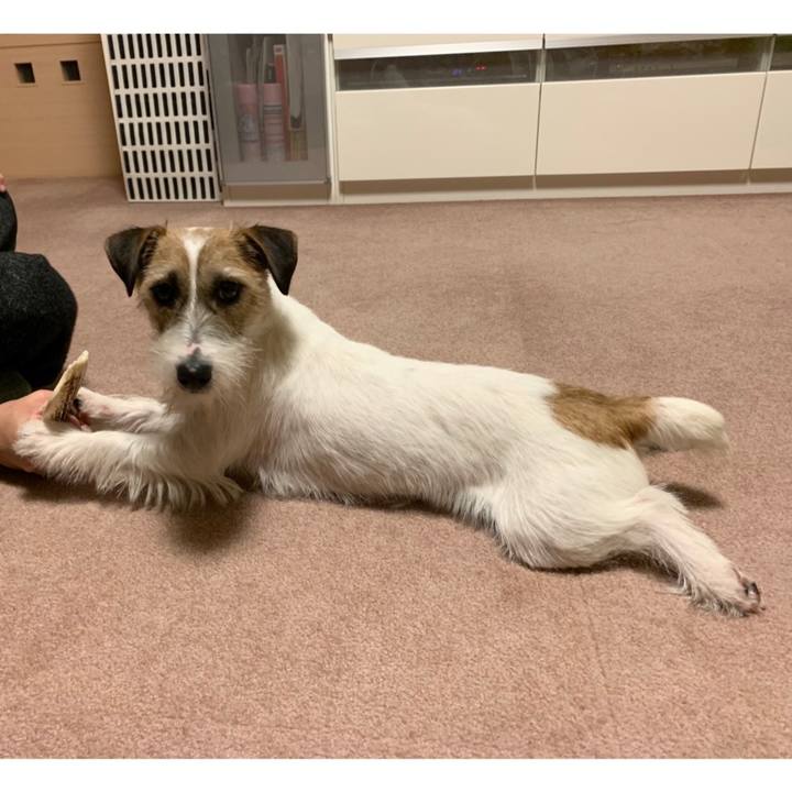 D2324fee 3dbc 4b75 853b b232c0e4b5cd 1584273364159