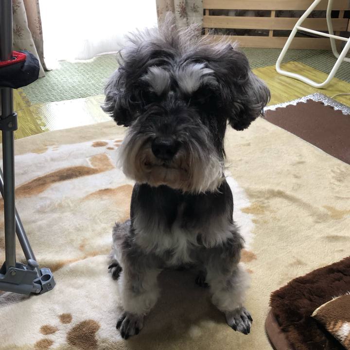 D2327bd4 8c4c 4130 8da3 32d73bf22905 1556603218964