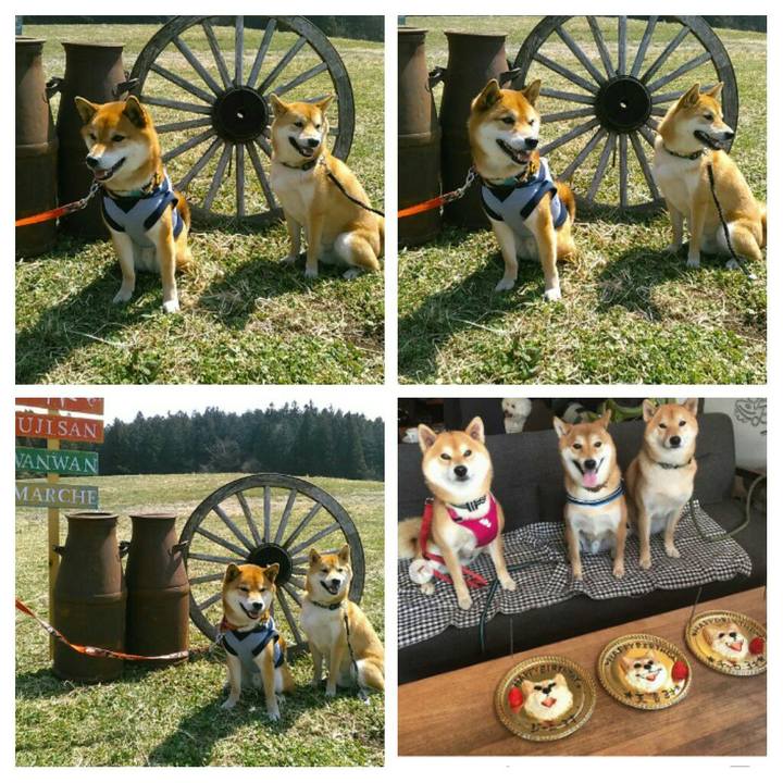 D2329266 b393 4081 b759 ce1e524be6d8 1554556920645