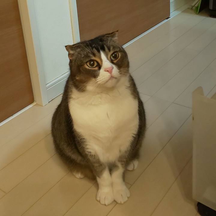 D2329a2c 2553 49a7 ac65 e4bb91ff7e4f 1584187902197