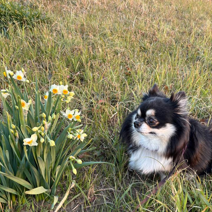 D232a98b 1076 4727 bf96 262c46b5f5e0 1770019543340