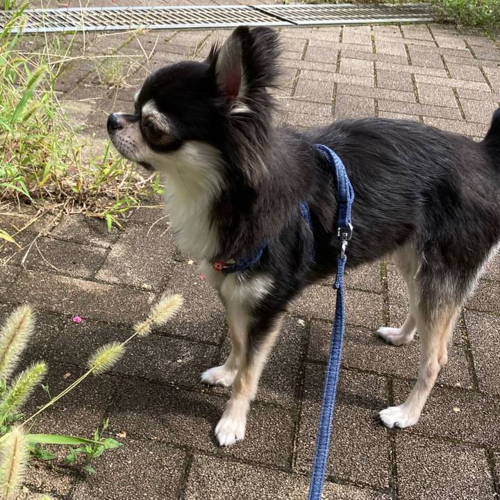 D232fc2d 16dc 48a6 ab1e 98e12d1465d4 1631336212265