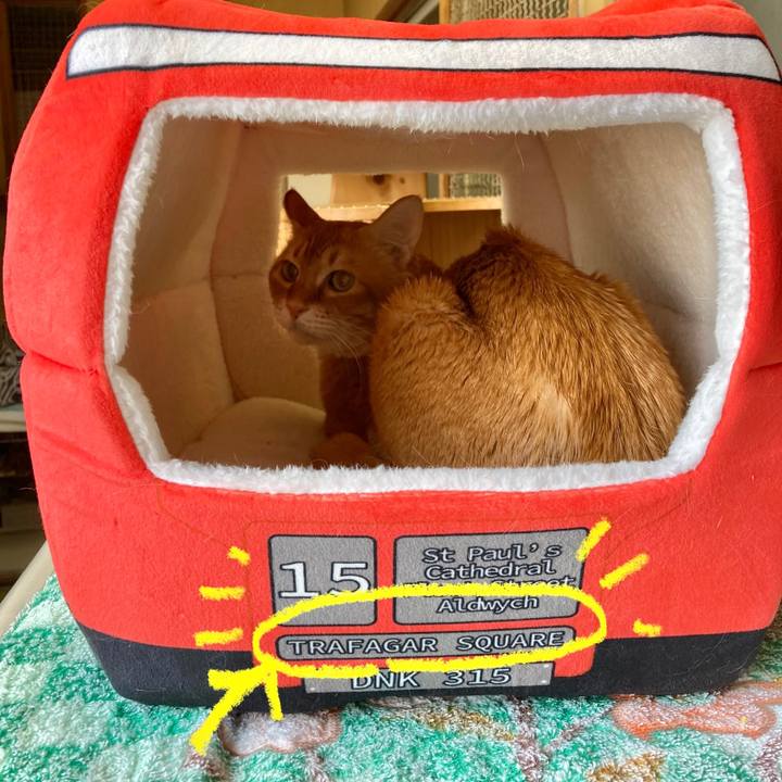 D232fdbb 28d8 4472 80ec 54e4281fc621 1647334487939