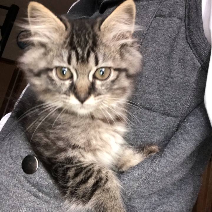 D2331e34 9662 4874 8435 0839d4f23020 1574387127255