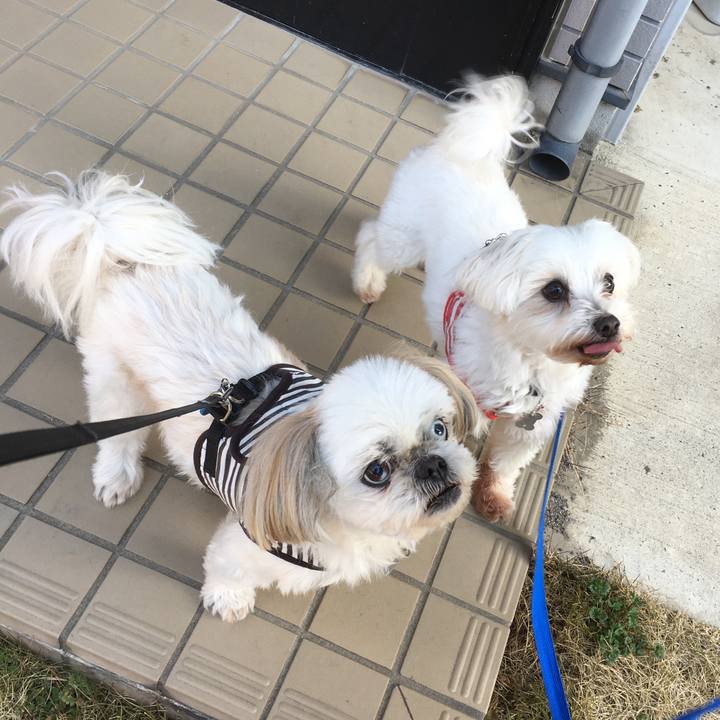 D233381a 50a7 4975 877a 4e9cd949c075 1615117149259