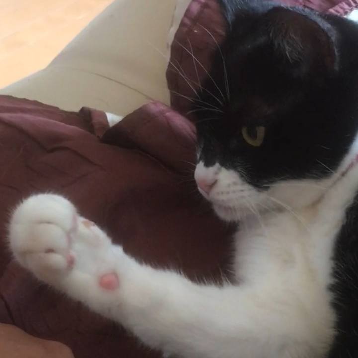 D2336040 430a 47c8 a480 445a1b4abad5 1593691794185