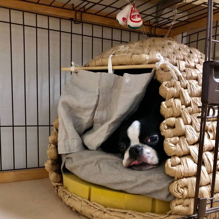 D2337ce4 79a5 4959 9a2c 5b8a2826a05e 1576567346789