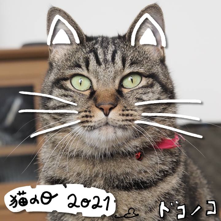 D2339cba da9e 4a0b a402 c175c56ea35d 1613987151839