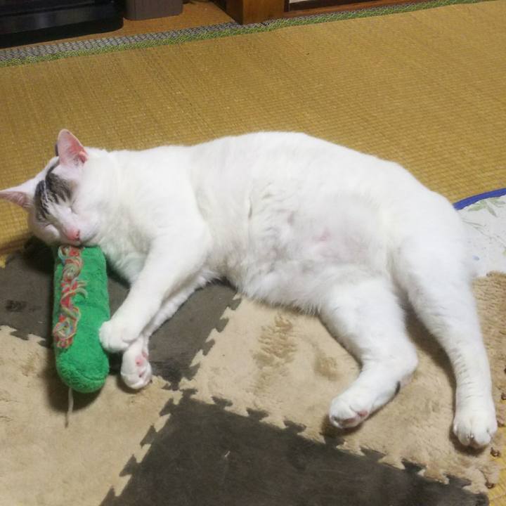 D233ad12 e601 45ca 8722 7438a2d92e32 1551693276708