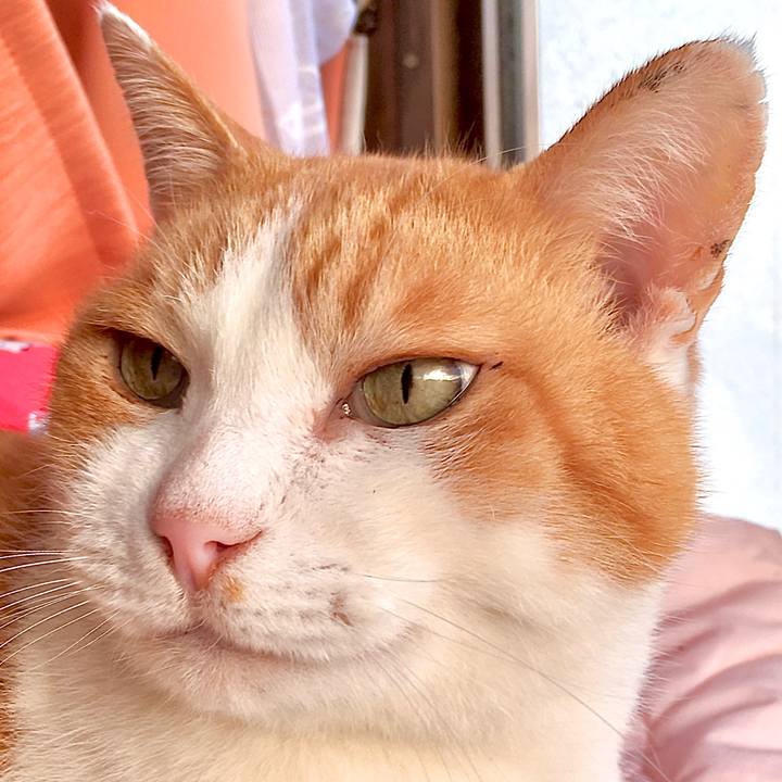 D233cfb4 00a1 48ec a783 d29cdc98acee 1581306296760