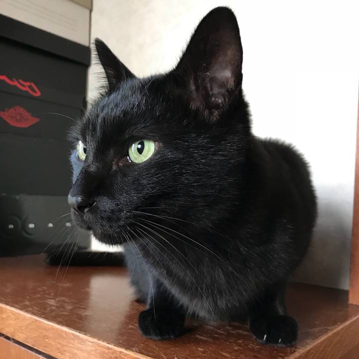 D2342e0e c597 42cf 885f 8e6a62132bc7 1511832045676