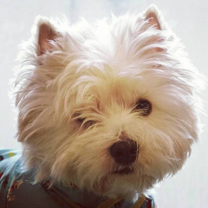 D2344c2d 897b 4758 9059 1901e3b5d633 1522846052051