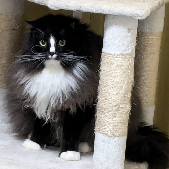 D2345282 10fe 487b b6eb a6f897d7c900 1735571246943