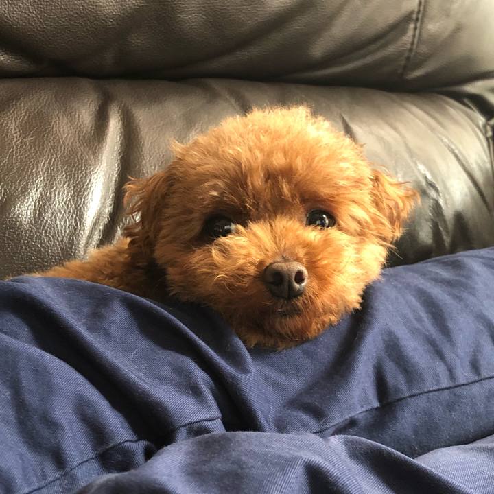 D2348e3a bc12 4e7c a72e 6ad3df07f780 1557181419231