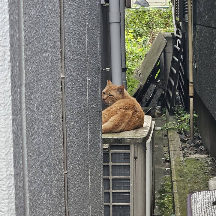 D234a4aa bd84 4c62 be0e 582d116325ef 1718441410398