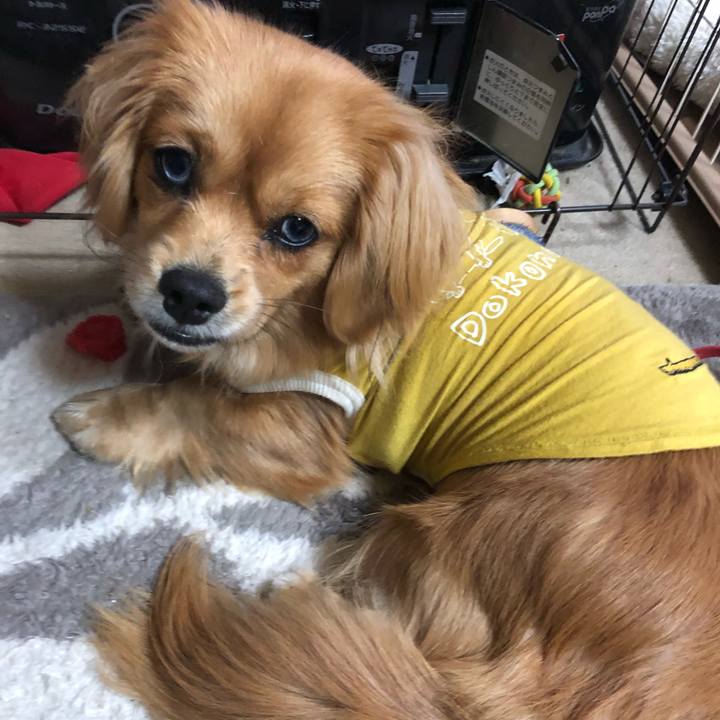 D234c87b eefc 424b b180 851f5e6e5973 1520200108275