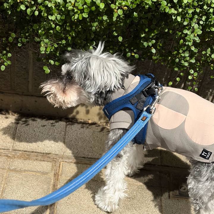 D234cc74 f00c 472b 9cad 8d5a7ee9073e 1773491578222