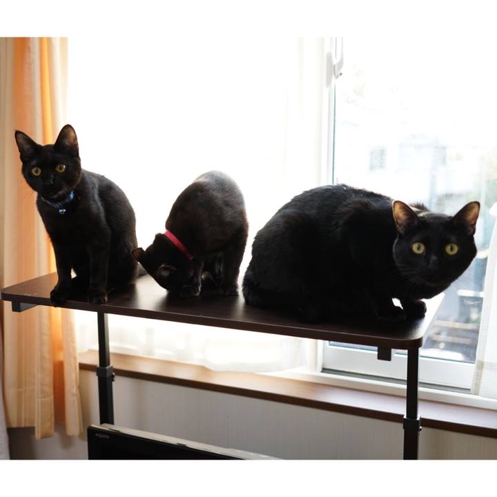 D234d4c6 fcfa 4f8e 82b1 51a61db04533 1510875377469