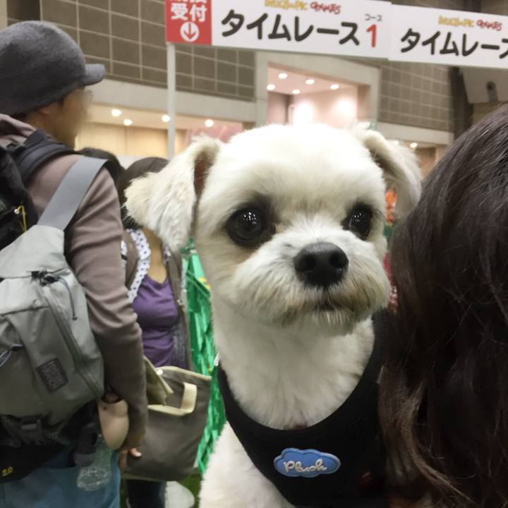 D235076b a3da 4ef4 87a3 9e5795fc12e9 1522411690613