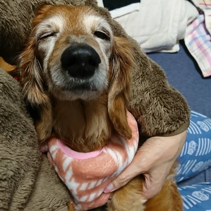 D2353575 6d99 47df b164 fccd42762502 1518886869518