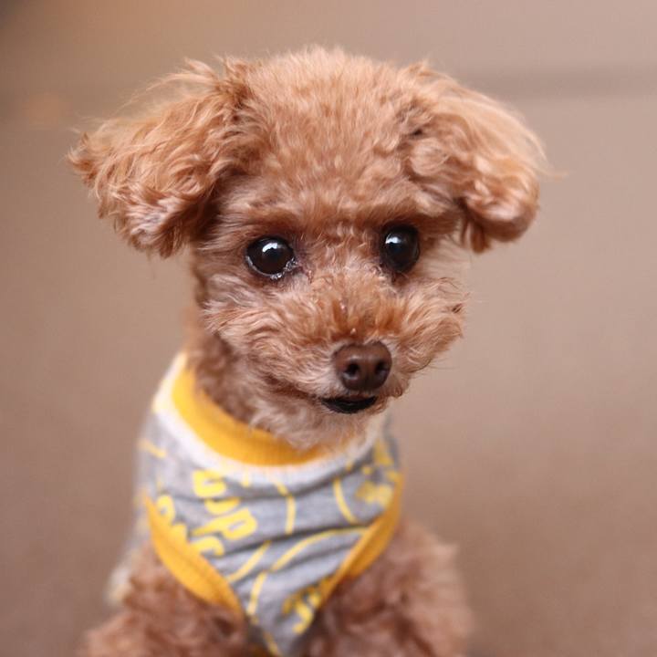 D2354d38 012e 4c46 9618 c00c97eeb526 1604842509258