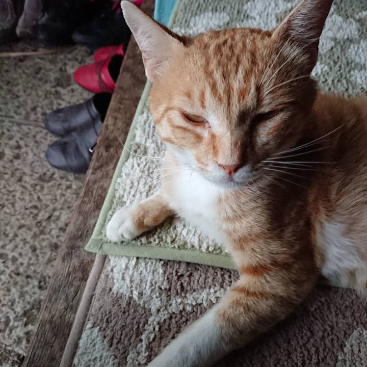 D23555cf 5cb8 426b 93b1 43fcfe635e41 1561626059463