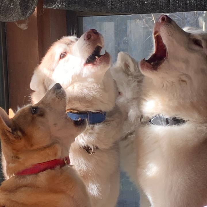 D2356a81 25f3 4e34 8777 408a1df7a04a 1639875306738