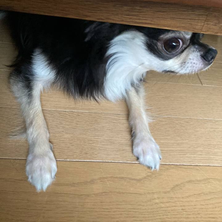 D2356e00 64b9 433d 8604 8a9bfe2ab520 1625285560901