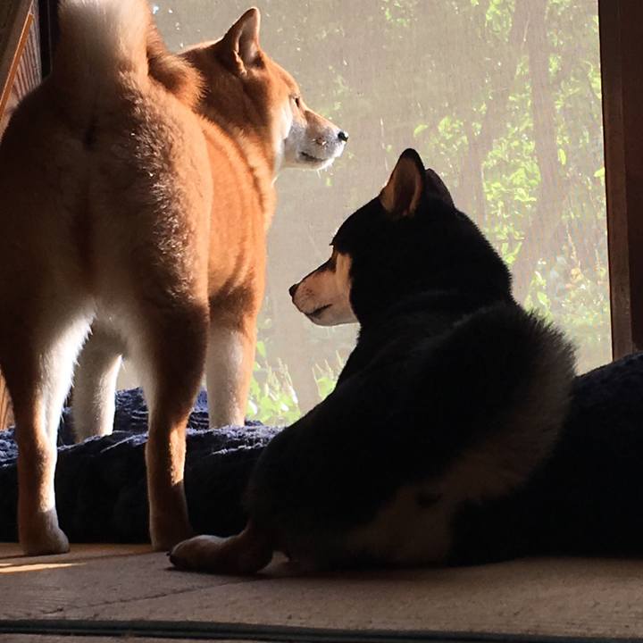 D235ab4d 0758 4d12 a157 605a6c4c95c9 1527430157287