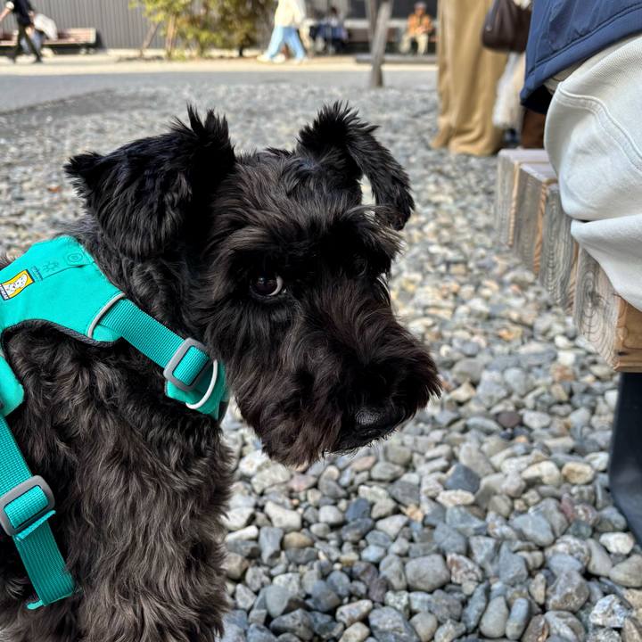 D235d287 081e 449e 92aa 0ede62728f40 1761987301343