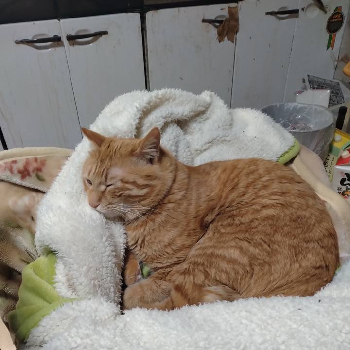 D235d80f 4a81 43f6 9e73 a825b7a9e517 1675676404347