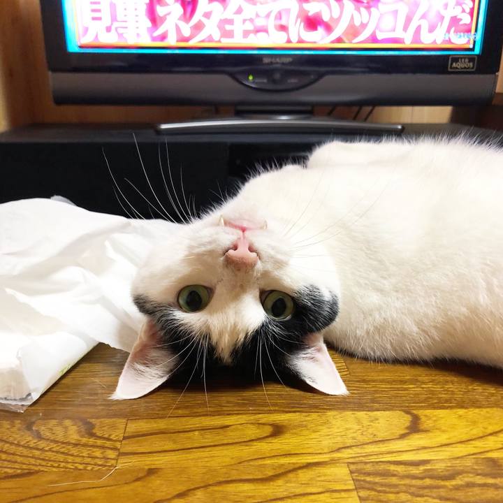 D235f188 8489 4bb4 bd7a 4cc3ec20651f 1565881820933