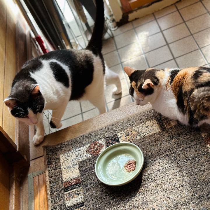 D2363731 5157 476e 85e4 82b602861552 1692750898930