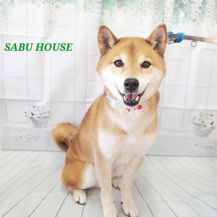 D2365cbe a287 4aa5 aca3 95c541f9dc57 1677850625028